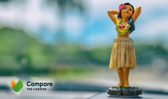 Hawaii Auto Transport In 2025 9 9 Hawaii Auto Transport
