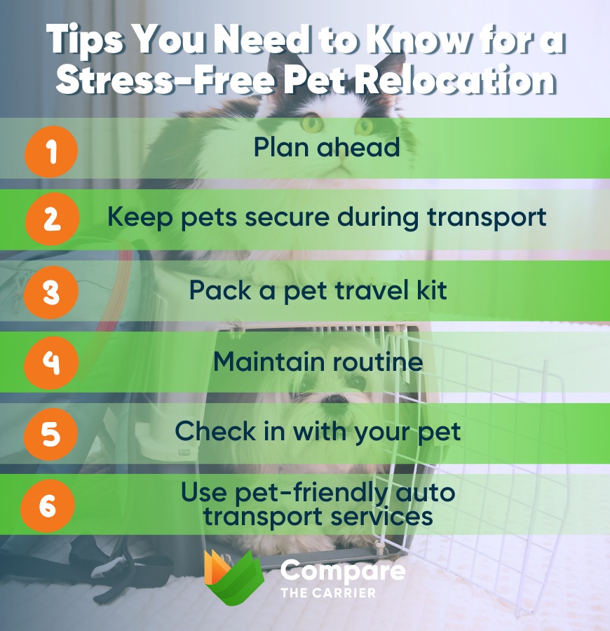 Essential tips for a stress-free pet relocation