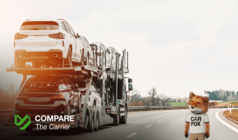 Stop Searching for Carfax Car Delivery