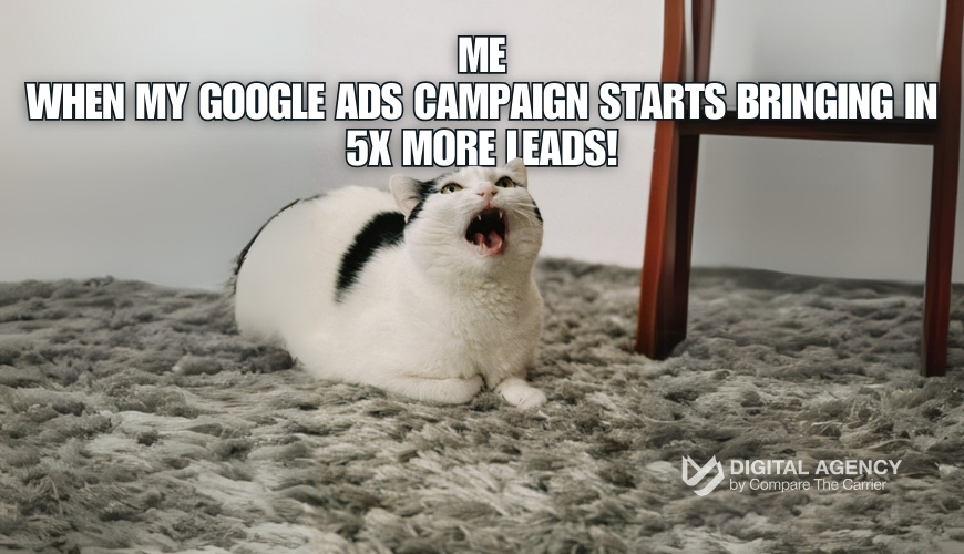 “Google AdWords”: Get 5X More Transport Leads 4 4 google ads cat meme